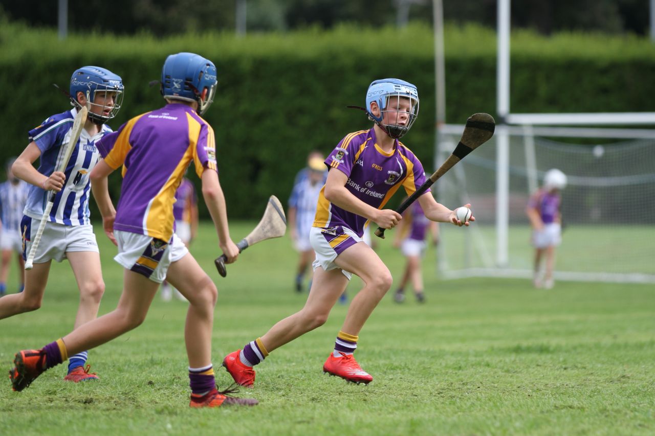 U12 Hurlers vs Ballyboden