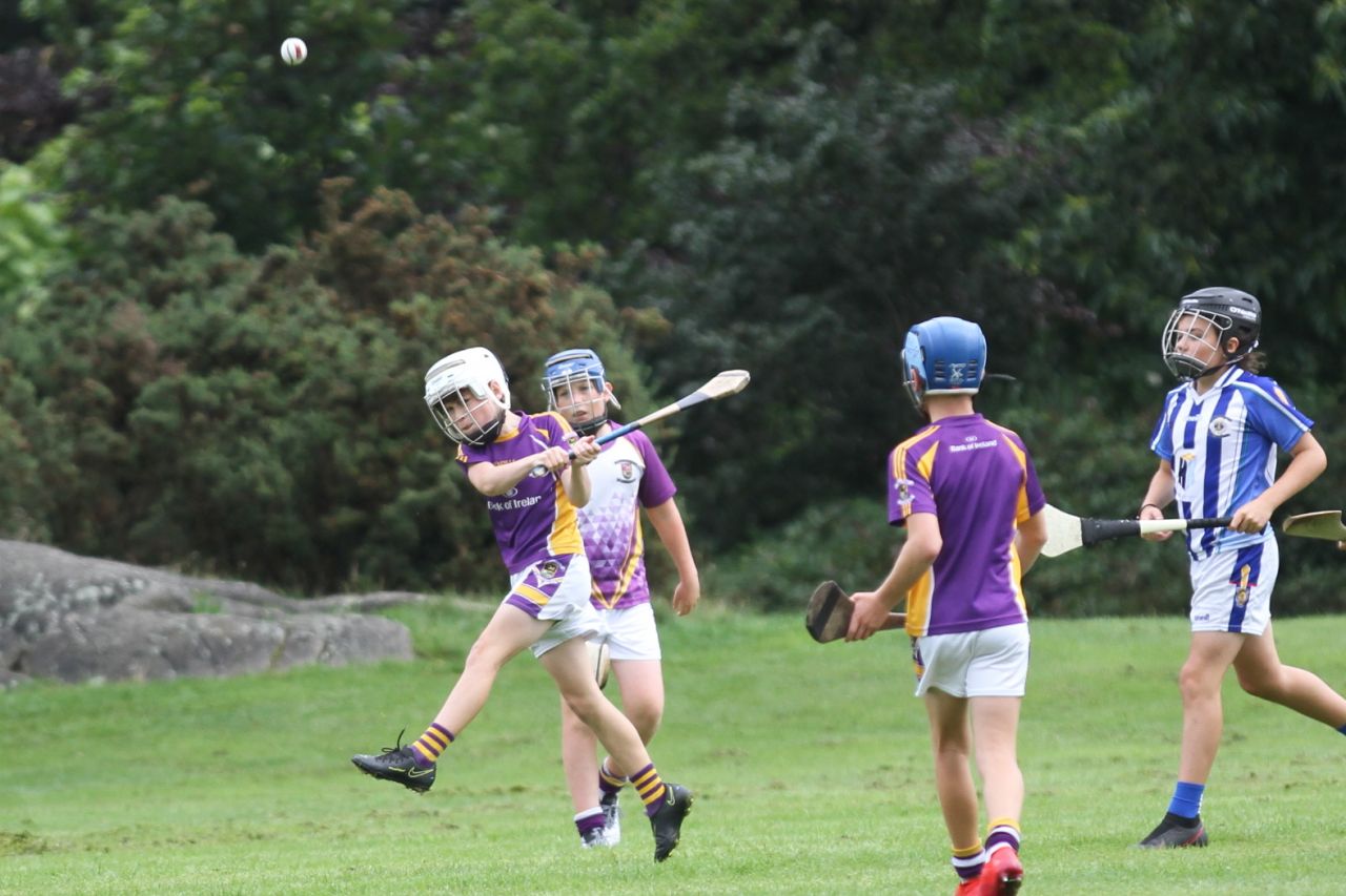 U12 Hurlers vs Ballyboden