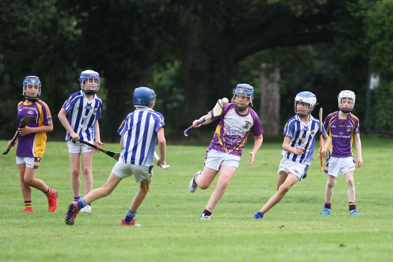 U12 Hurlers vs Ballyboden