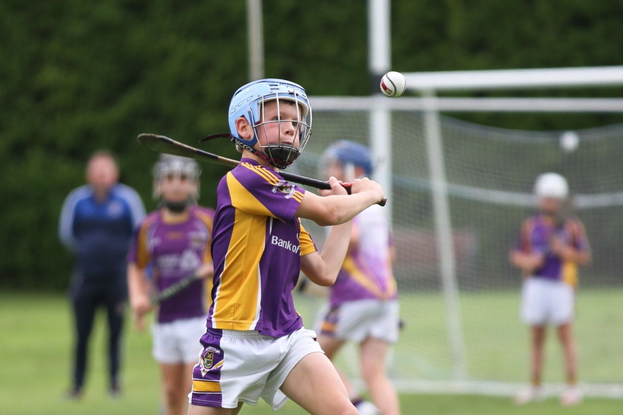 U12 Hurlers vs Ballyboden