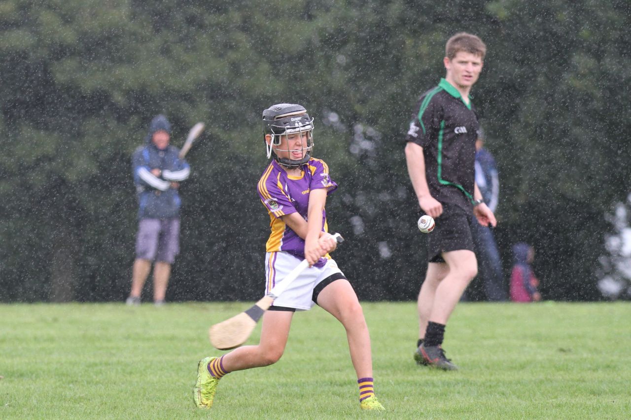 U12 Hurlers vs Ballyboden