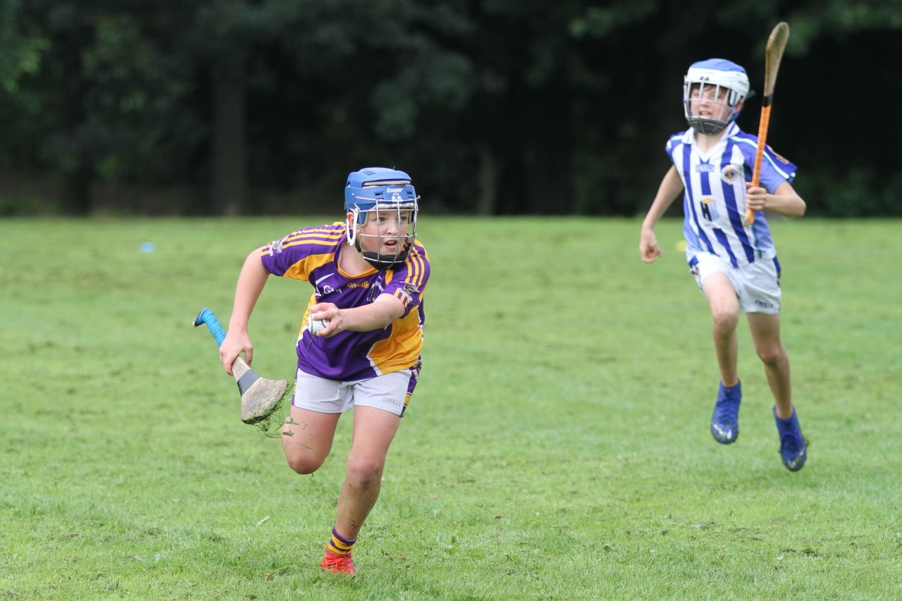 U12 Hurlers vs Ballyboden