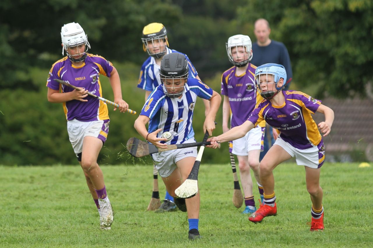 U12 Hurlers vs Ballyboden