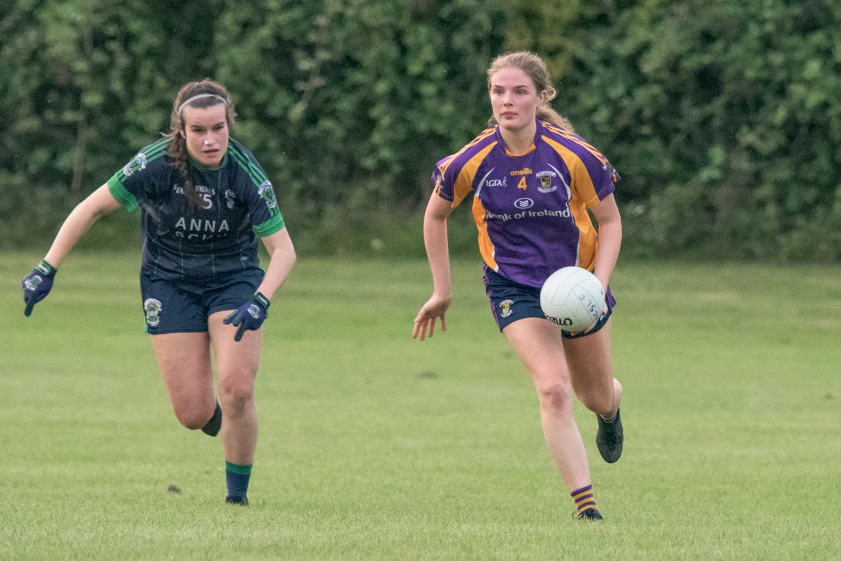 Ladies Football Go-Ahead Senior Championship Group A   Kilmacud Crokes Versus Fox cab