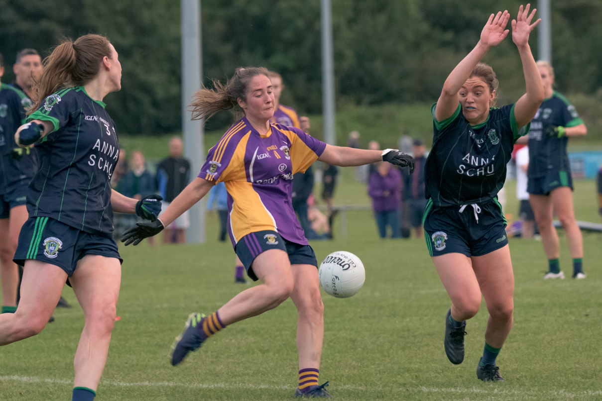 Ladies Football Go-Ahead Senior Championship Group A   Kilmacud Crokes Versus Fox cab