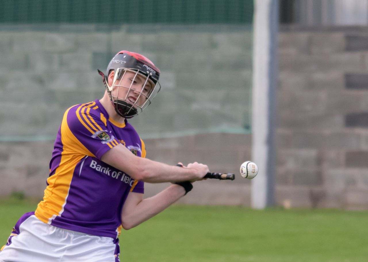 Intermediate Hurlers edge past Maurs in Championnship