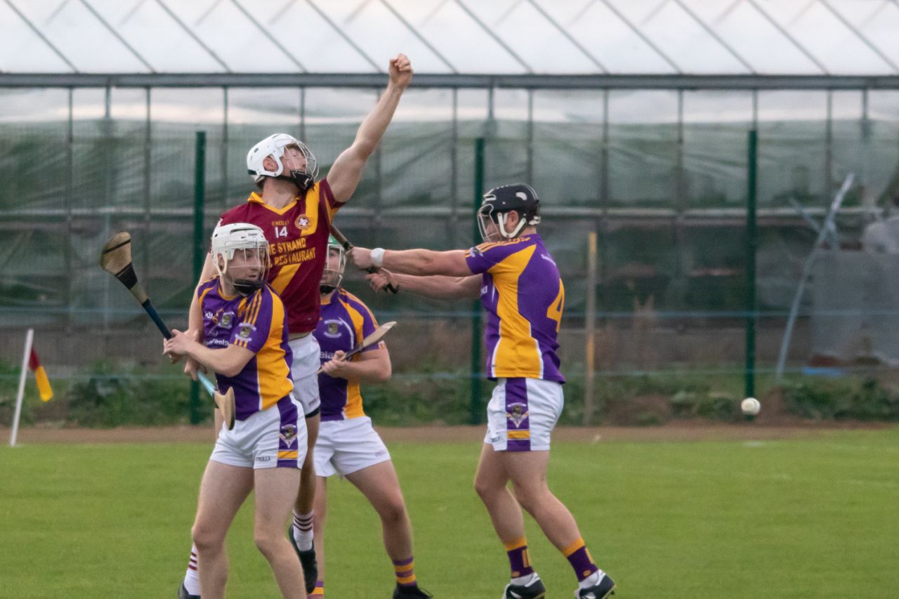 Intermediate Hurlers edge past Maurs in Championnship