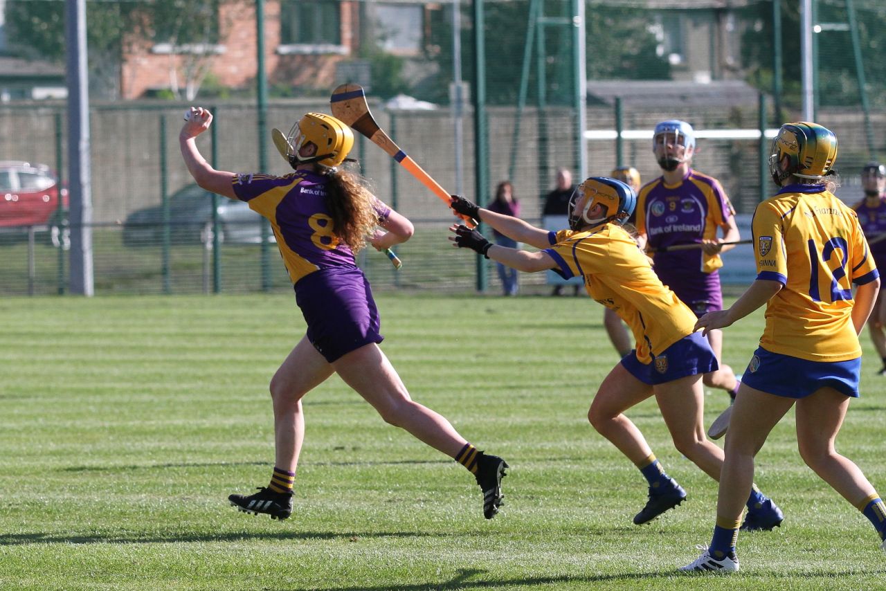 Senior Camogie team vs Na Fianna