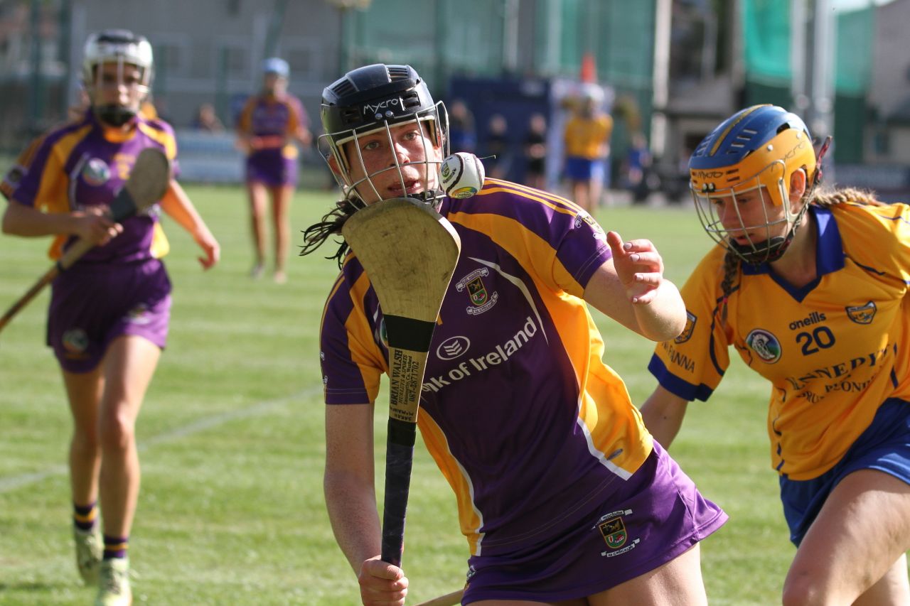 Senior Camogie team vs Na Fianna