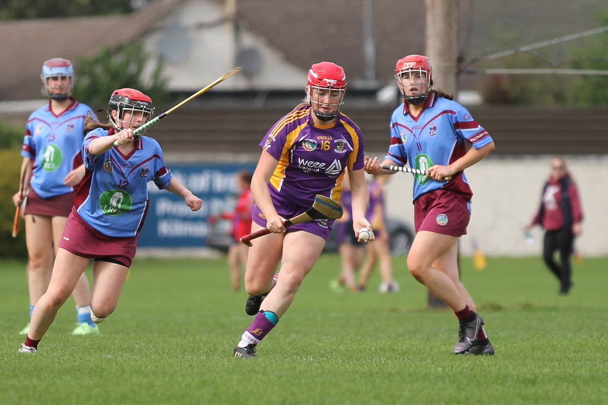 Intermediate Camogie team vs Naomh Olaf in Championship