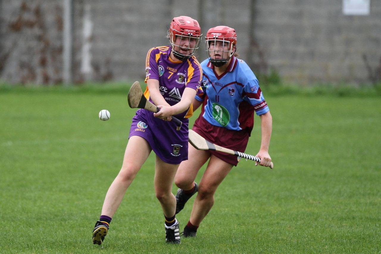 Intermediate Camogie team vs Naomh Olaf in Championship