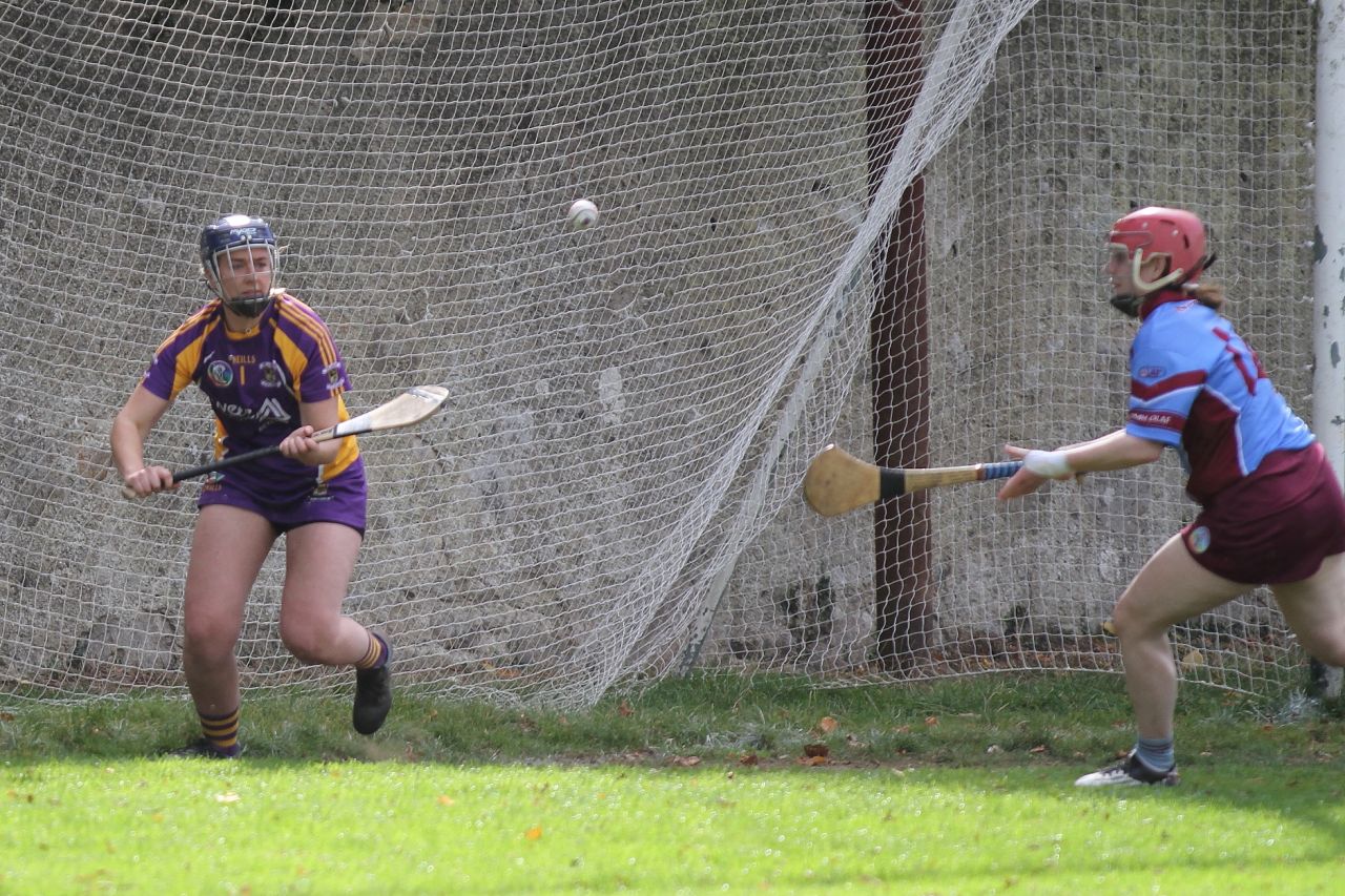 Intermediate Camogie team vs Naomh Olaf in Championship