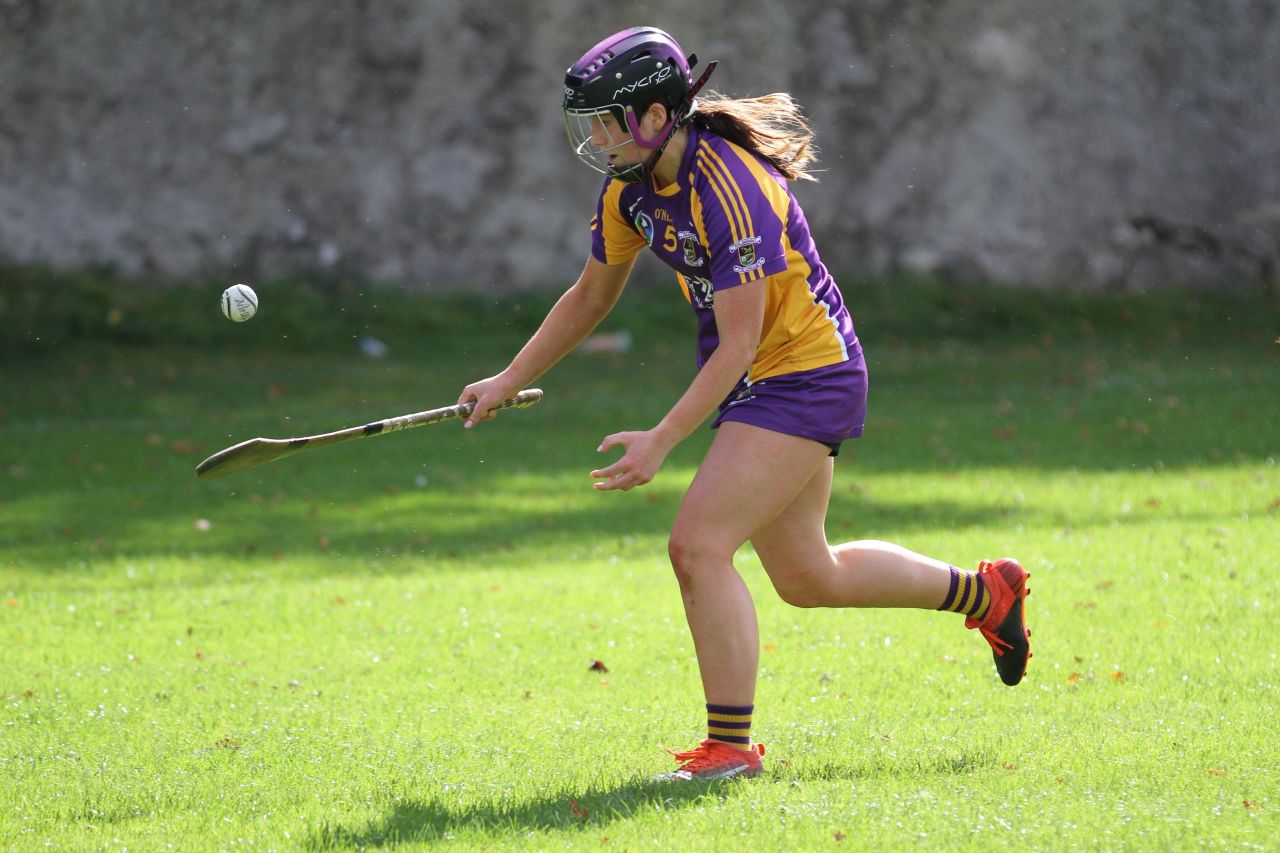 Intermediate Camogie team vs Naomh Olaf in Championship