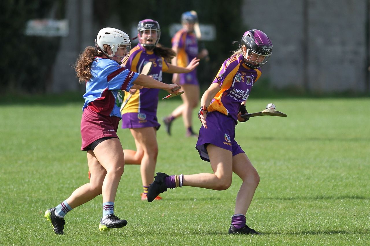 Intermediate Camogie team vs Naomh Olaf in Championship