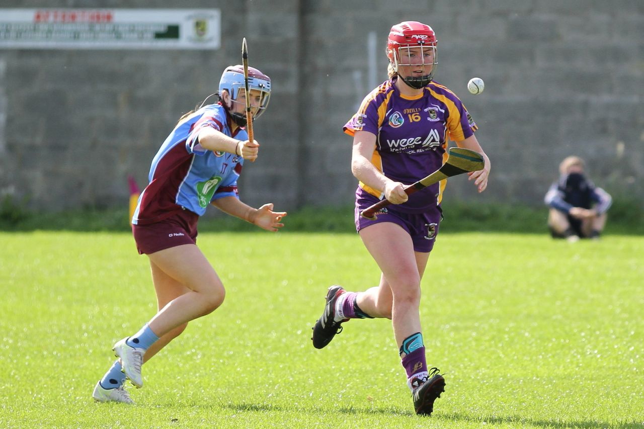 Intermediate Camogie team vs Naomh Olaf in Championship