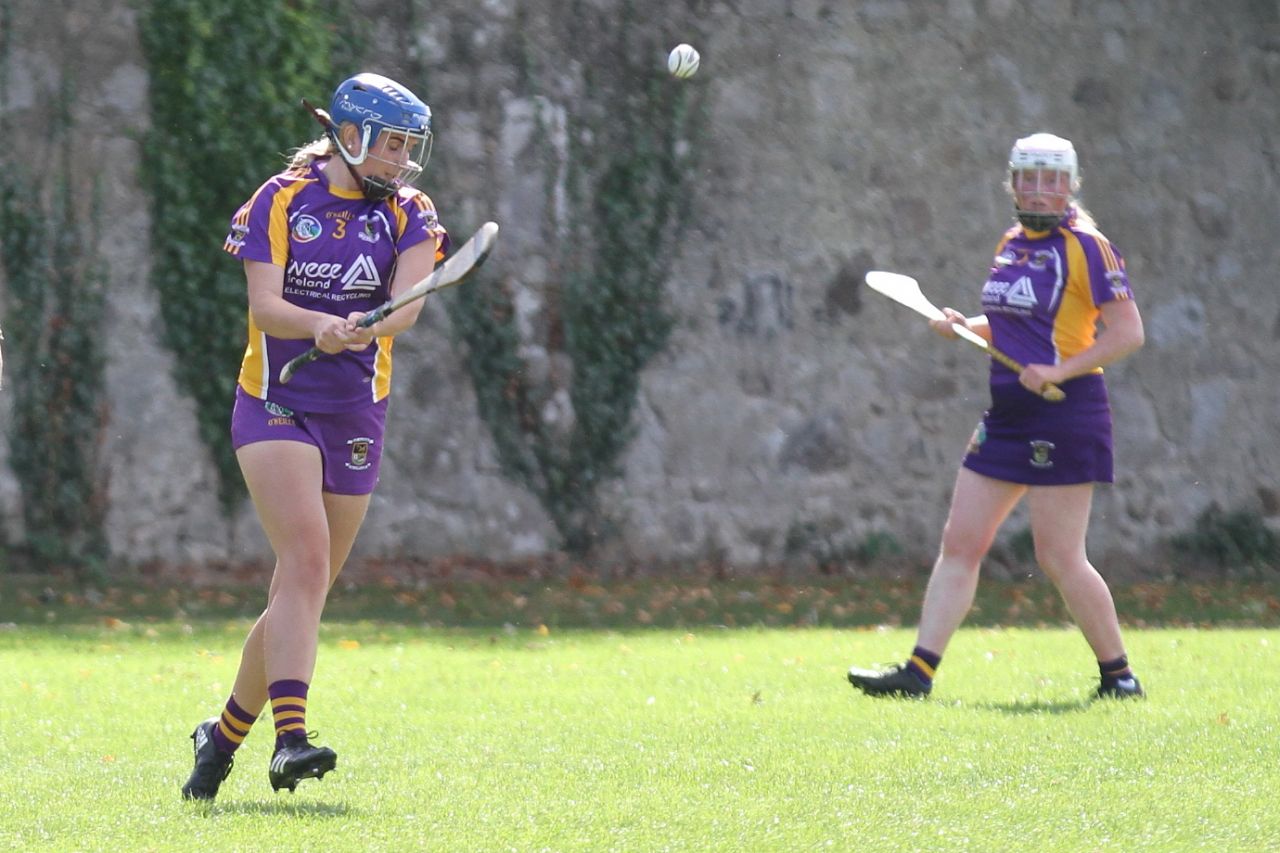 Intermediate Camogie team vs Naomh Olaf in Championship