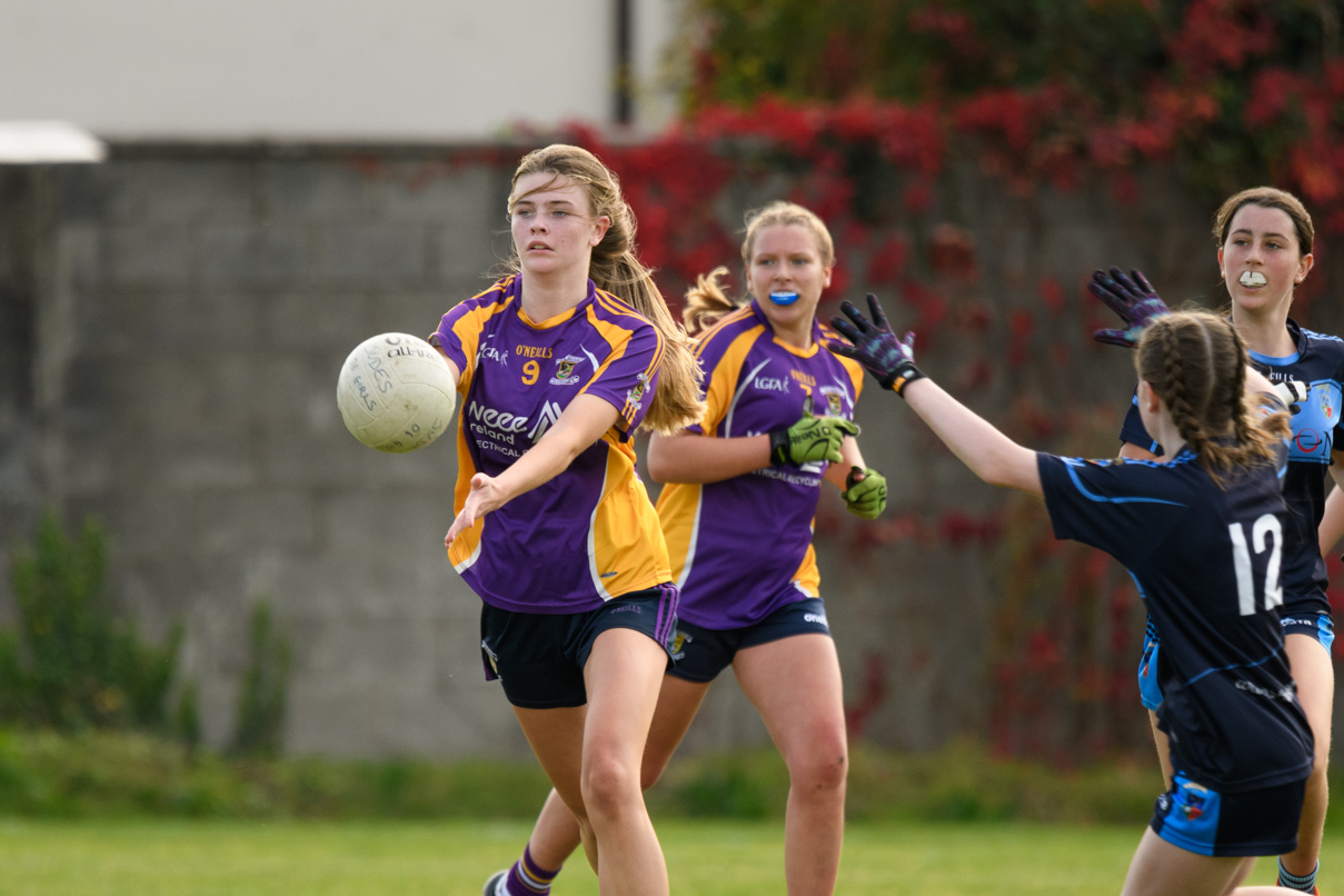 Ladies Football Under 15 Feile Championship Division 1 Knock Out Stages  Kilmacud Crokes Versus Judes