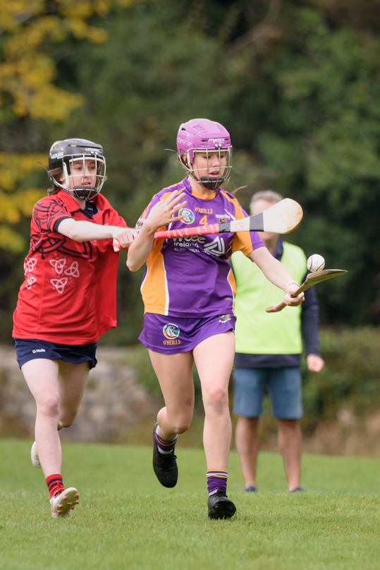 Camogie We Are Dublin Championship Shield Semi Finals U15  Kilmacud Crokes Versus Fingallians