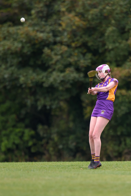 Camogie We Are Dublin Championship Shield Semi Finals U15  Kilmacud Crokes Versus Fingallians