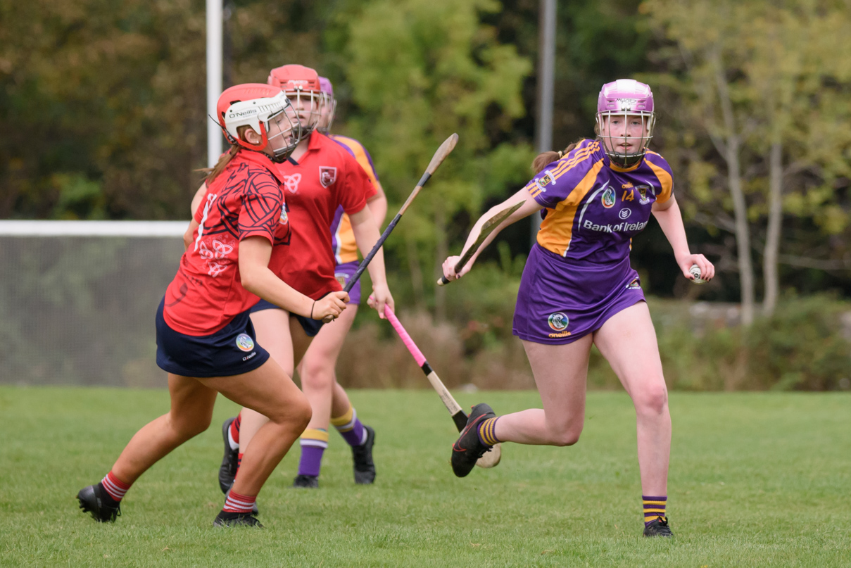 Camogie We Are Dublin Championship Shield Semi Finals U15  Kilmacud Crokes Versus Fingallians