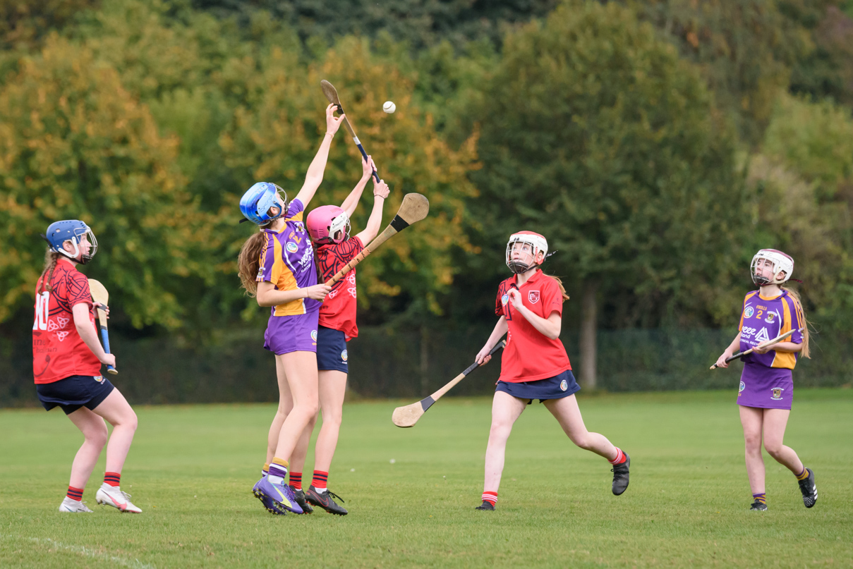 Camogie We Are Dublin Championship Shield Semi Finals U15  Kilmacud Crokes Versus Fingallians