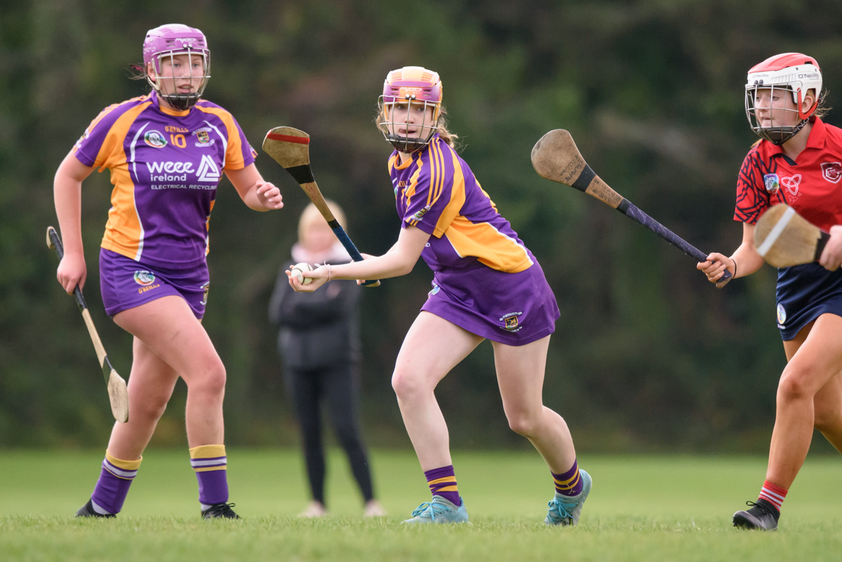 Camogie We Are Dublin Championship Shield Semi Finals U15  Kilmacud Crokes Versus Fingallians