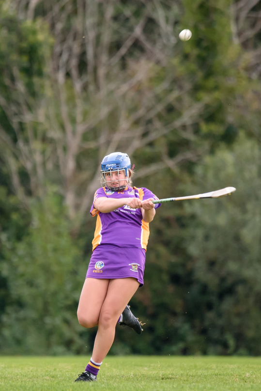 Camogie We Are Dublin Championship Shield Semi Finals U15  Kilmacud Crokes Versus Fingallians