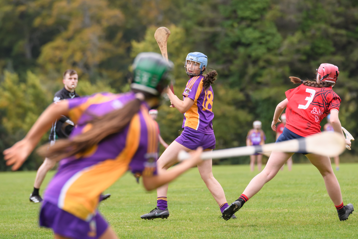 Camogie We Are Dublin Championship Shield Semi Finals U15  Kilmacud Crokes Versus Fingallians