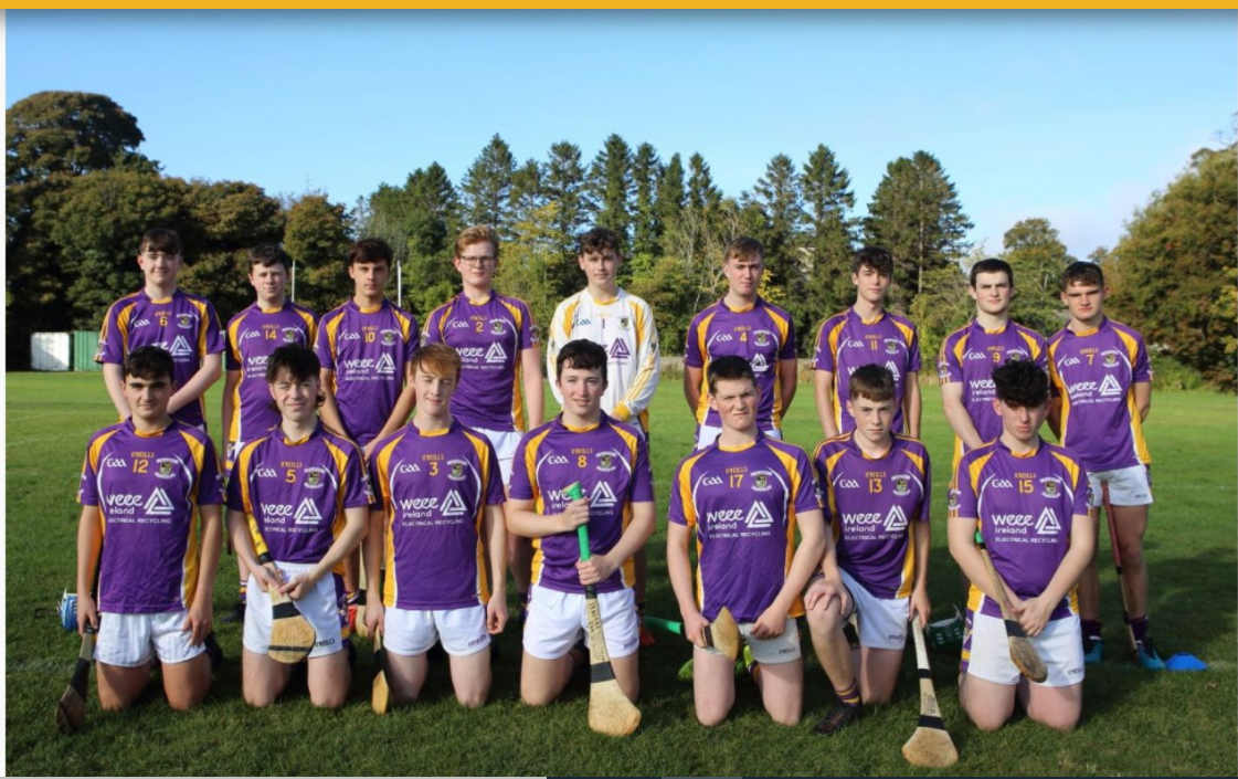  CROKES MINOR C HURLERS BEAT NA FIANNA IN QUARTER FINAL!