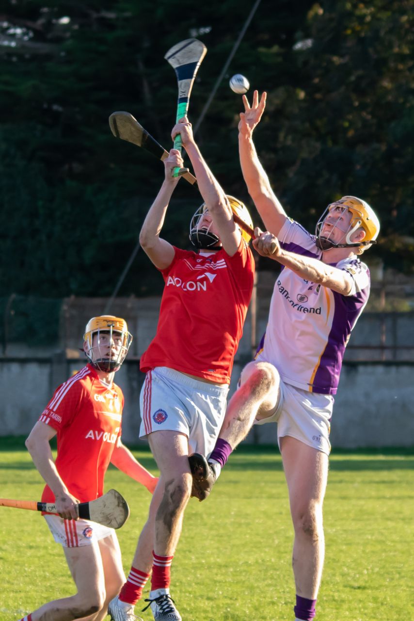 Senior B Hurlers into Final