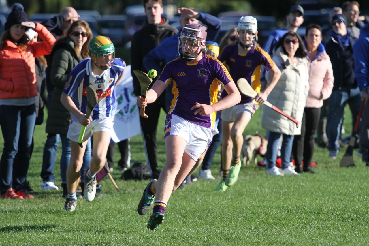 U14 A Hurlers -  Championship Final