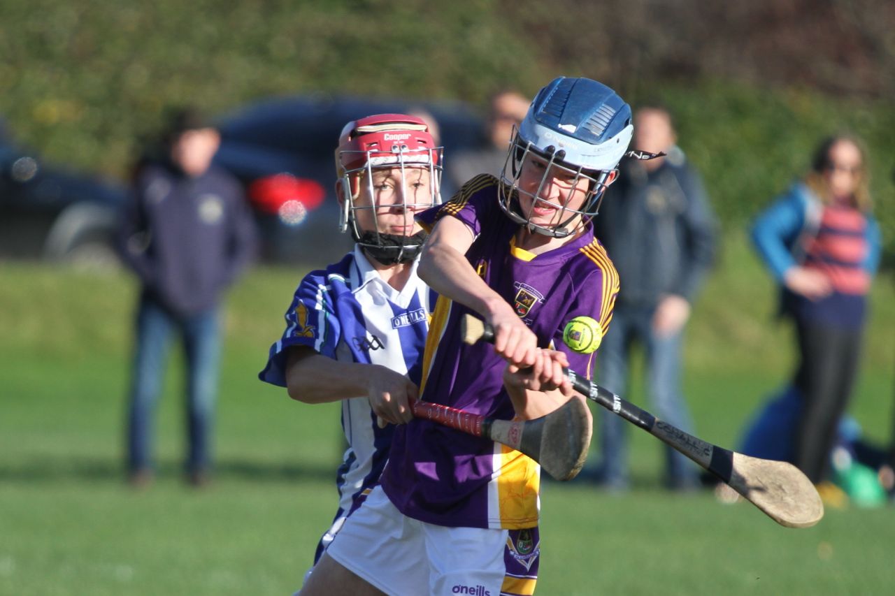 U14 A Hurlers -  Championship Final