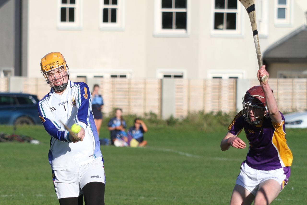 U14 A Hurlers -  Championship Final