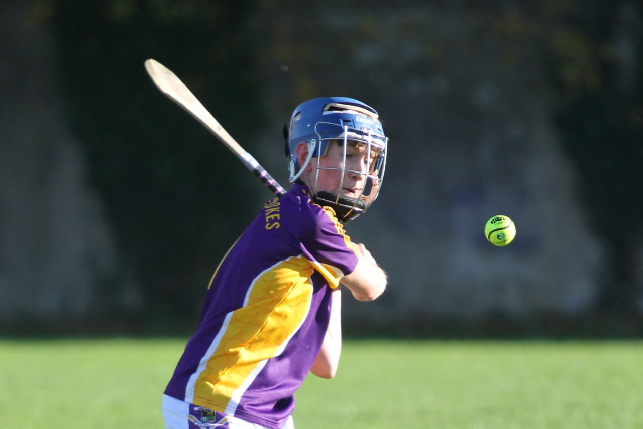 U14 A Hurlers -  Championship Final