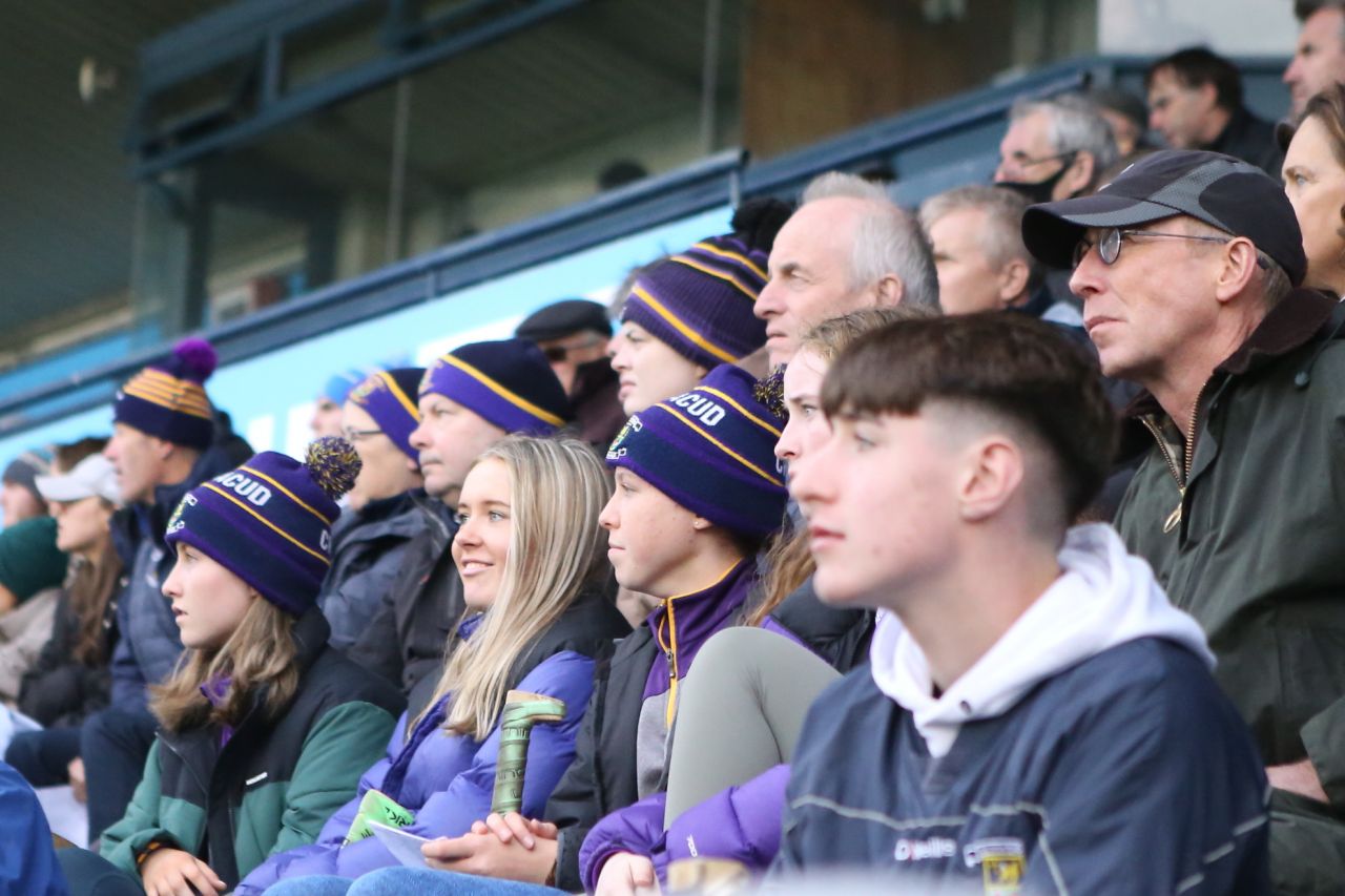 Senior A Hurlers into County Final (14th Nov)