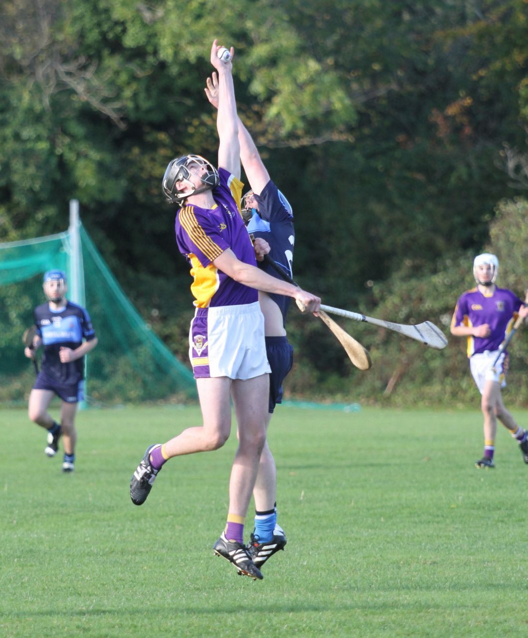 Junior B Hurlers win relegation match