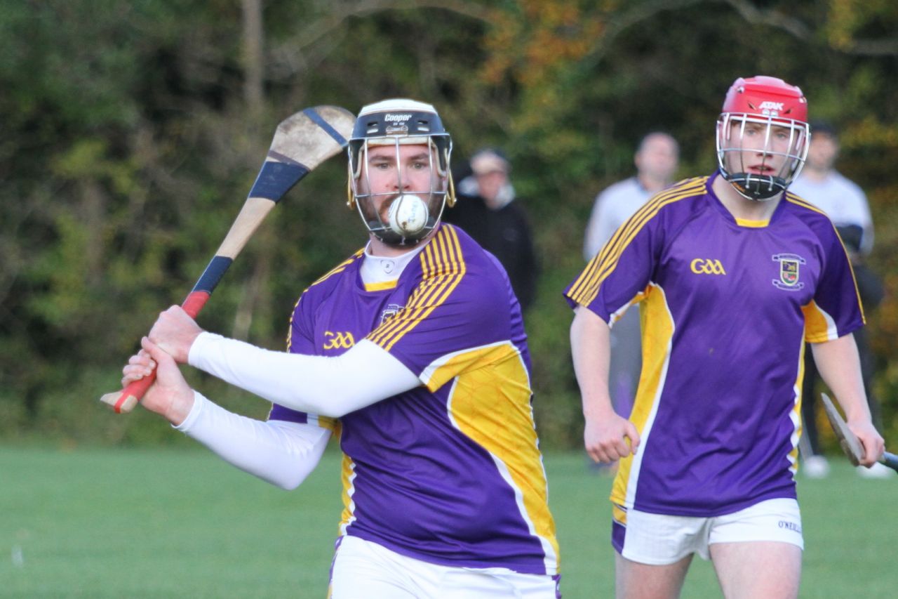 Junior B Hurlers win relegation match