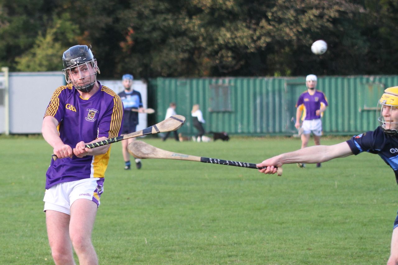 Junior B Hurlers win relegation match