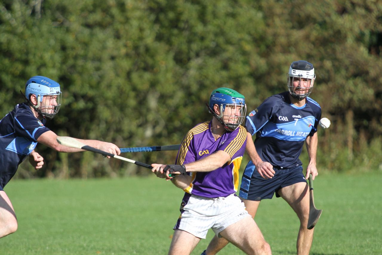 Junior B Hurlers win relegation match