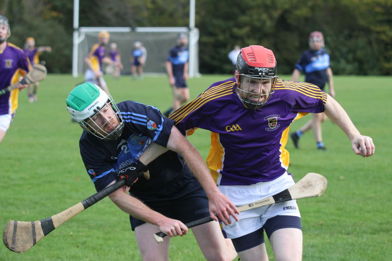 Junior B Hurlers win relegation match