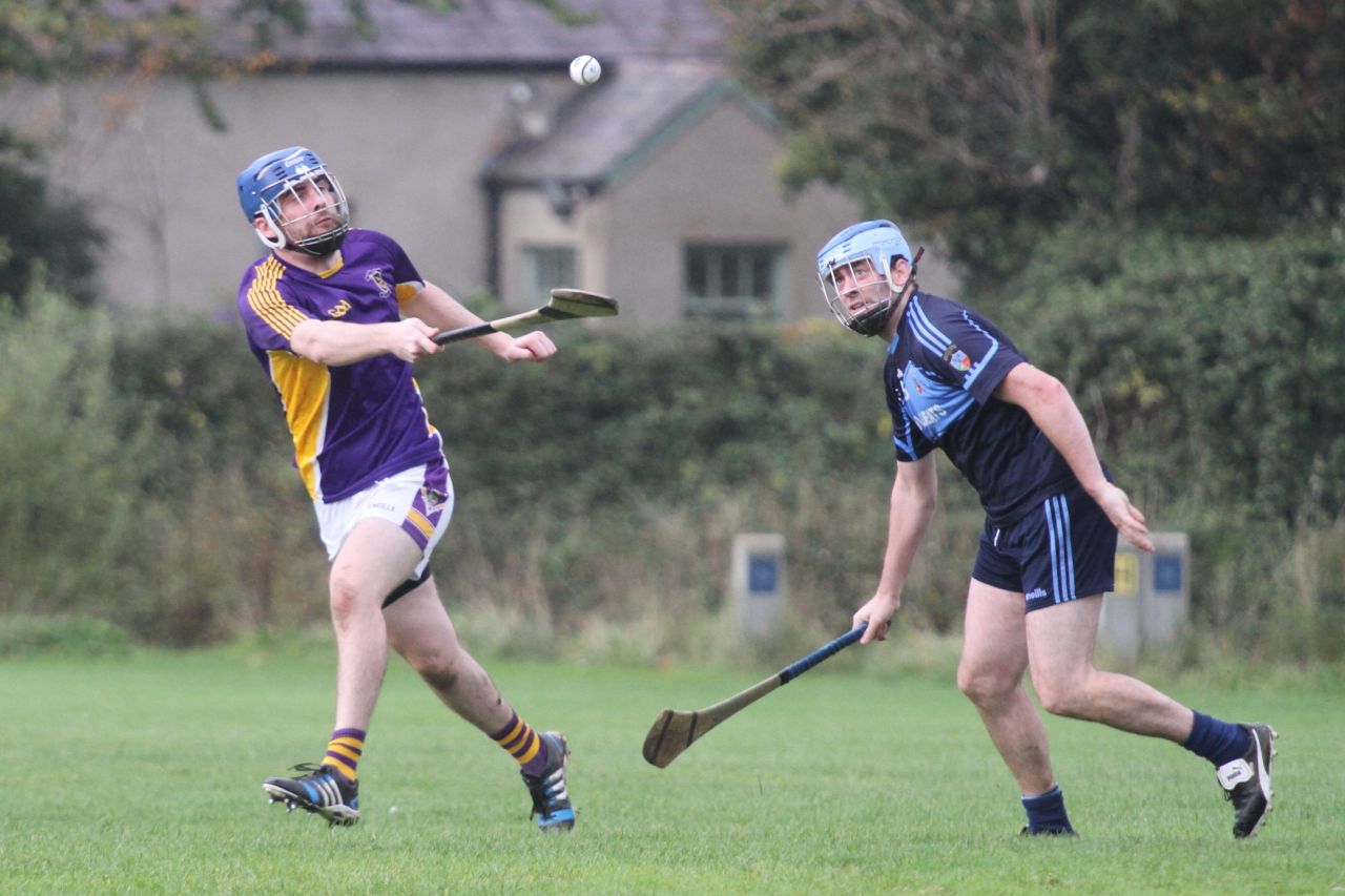 Junior B Hurlers win relegation match