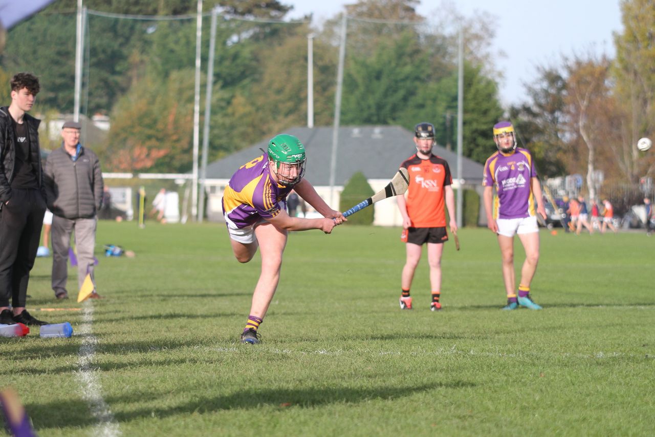 Minor E Hurlers Championship Semi Final