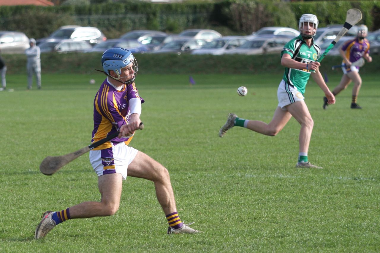 Minor C Hurling Championship Semi Final