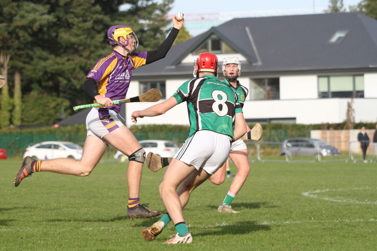 Minor C Hurling Championship Semi Final