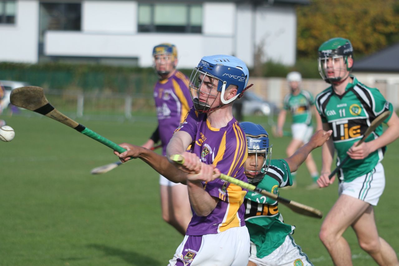 Minor C Hurling Championship Semi Final