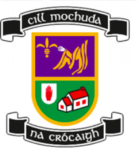 Kilmacud Crokes Camogie Section AGM Tuesday 7th  December 2021