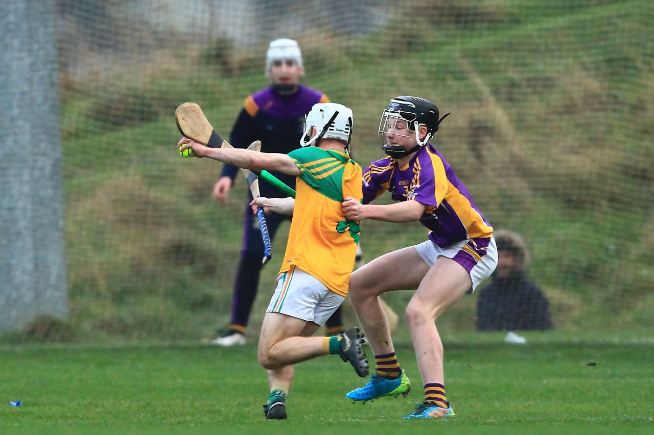 Kilmacud Crokes U16A Hurlers County Champions 2021