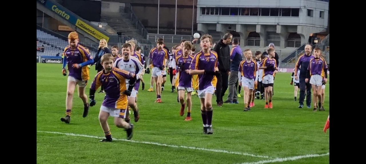 Kilmacud Crokes Under 13 Half Time Game Versus Kilcoo during All Ireland Club Football Final