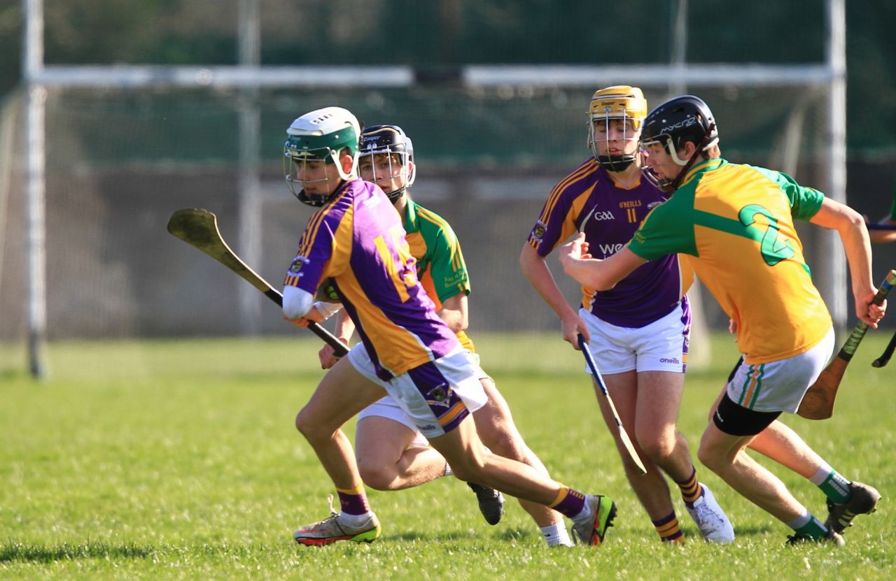 U17 Hurling Division 1 vs Faughs