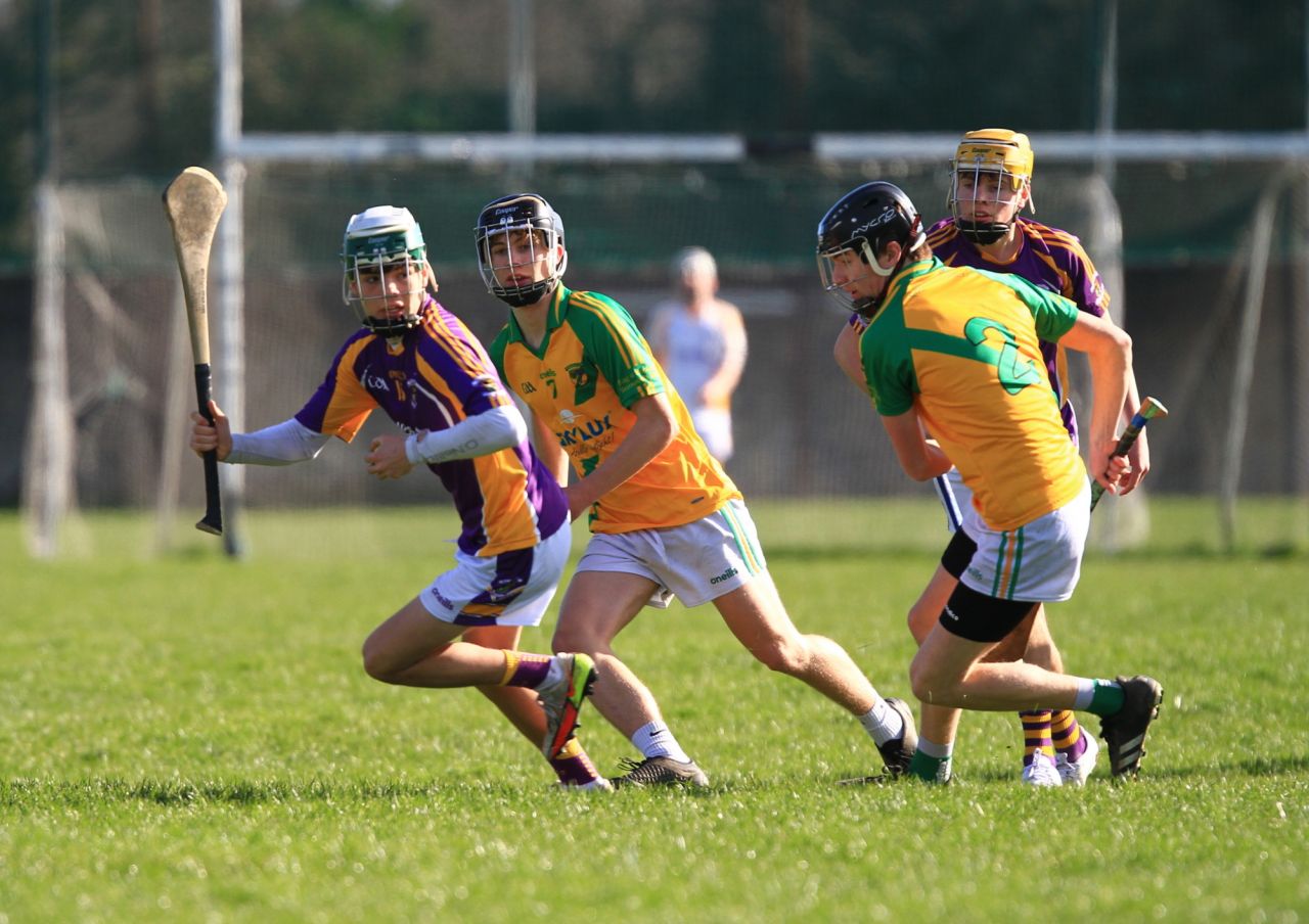 U17 Hurling Division 1 vs Faughs